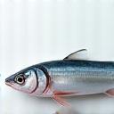 An icon representing freshness, showing a glistening fish.